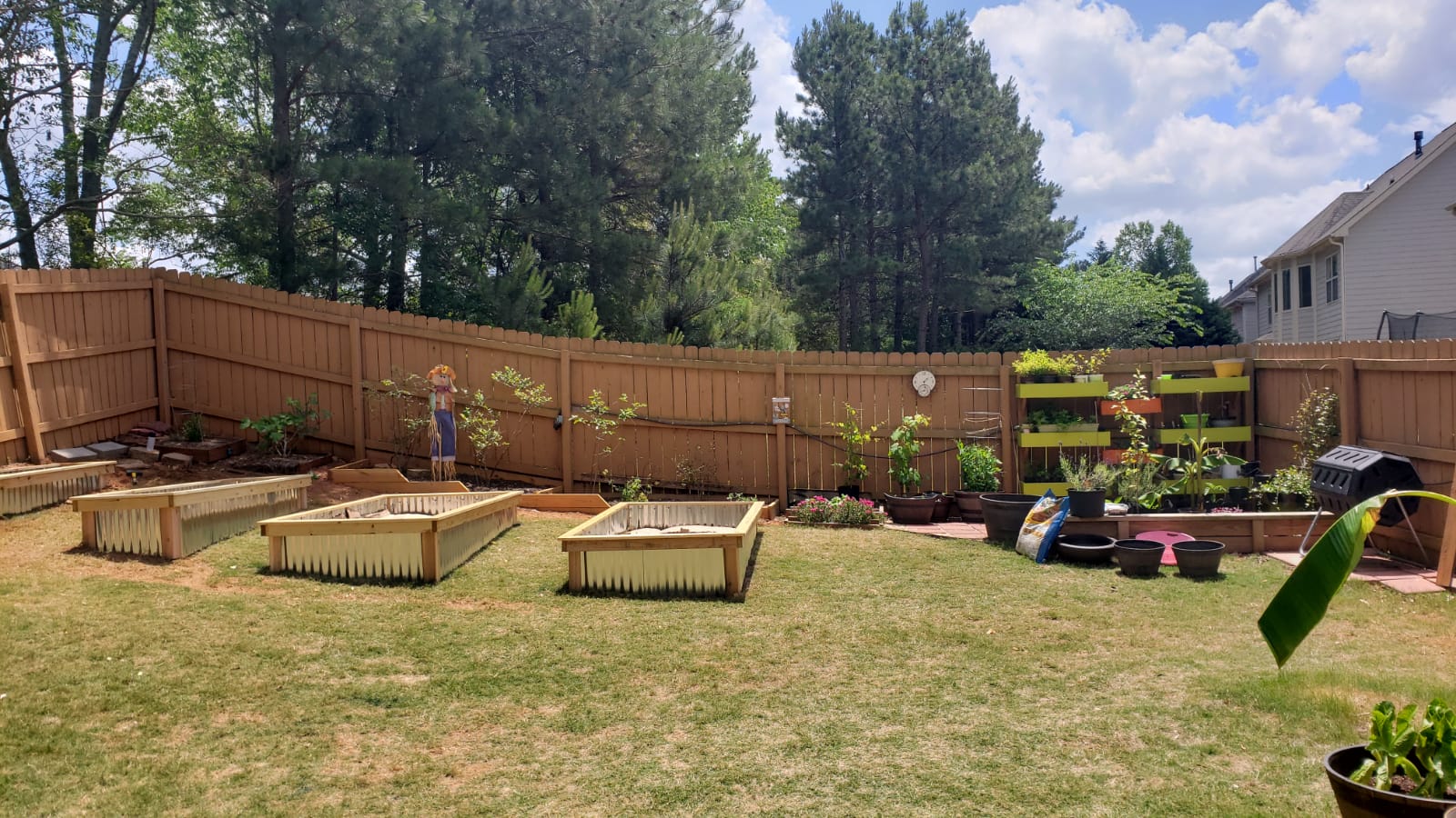 Garden Raised Beds gallery image 2